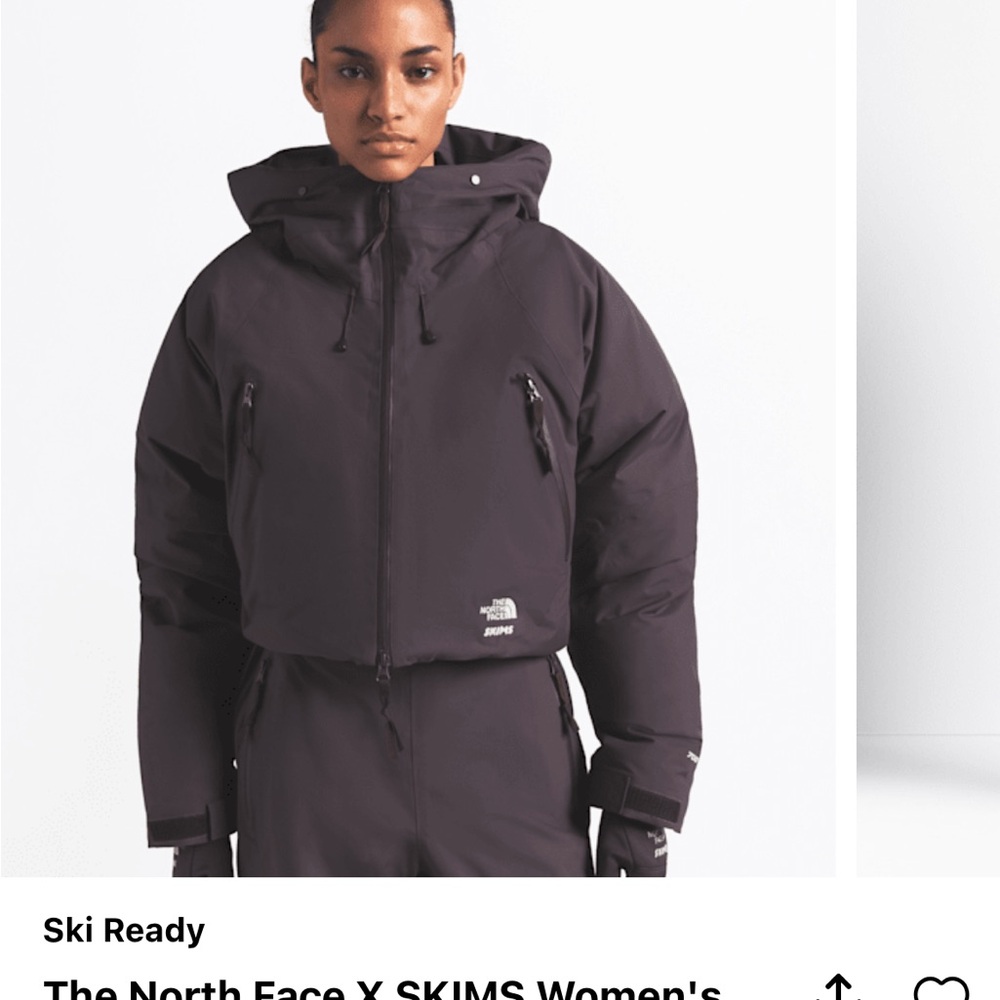 The North Face Women's Dark brown Ski Jacket